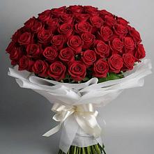 Букет 101 Красная роза Блэк Мэджик в Нижней Пойме