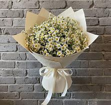 Букет цветов из:  Ромашки #REPLACE_PRED# Нижней Пойме